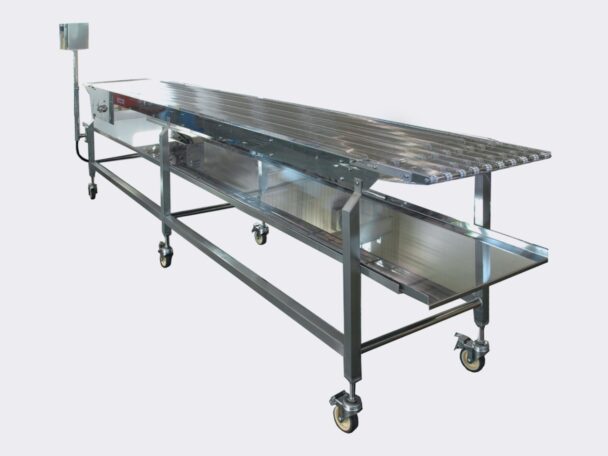 Food conveyor systems